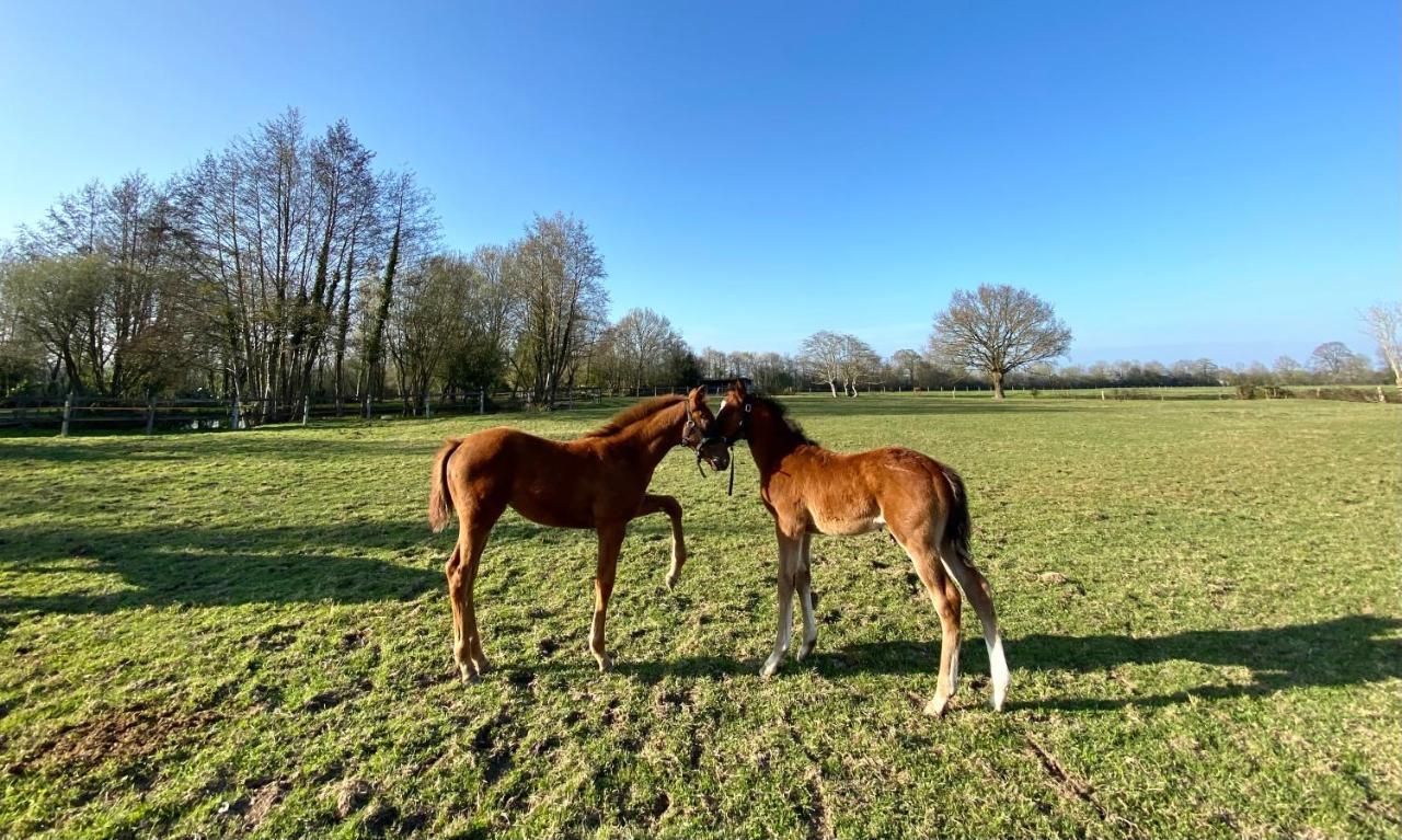 Ferienwohnung La Longere Du Haras Manerbe Exterior foto