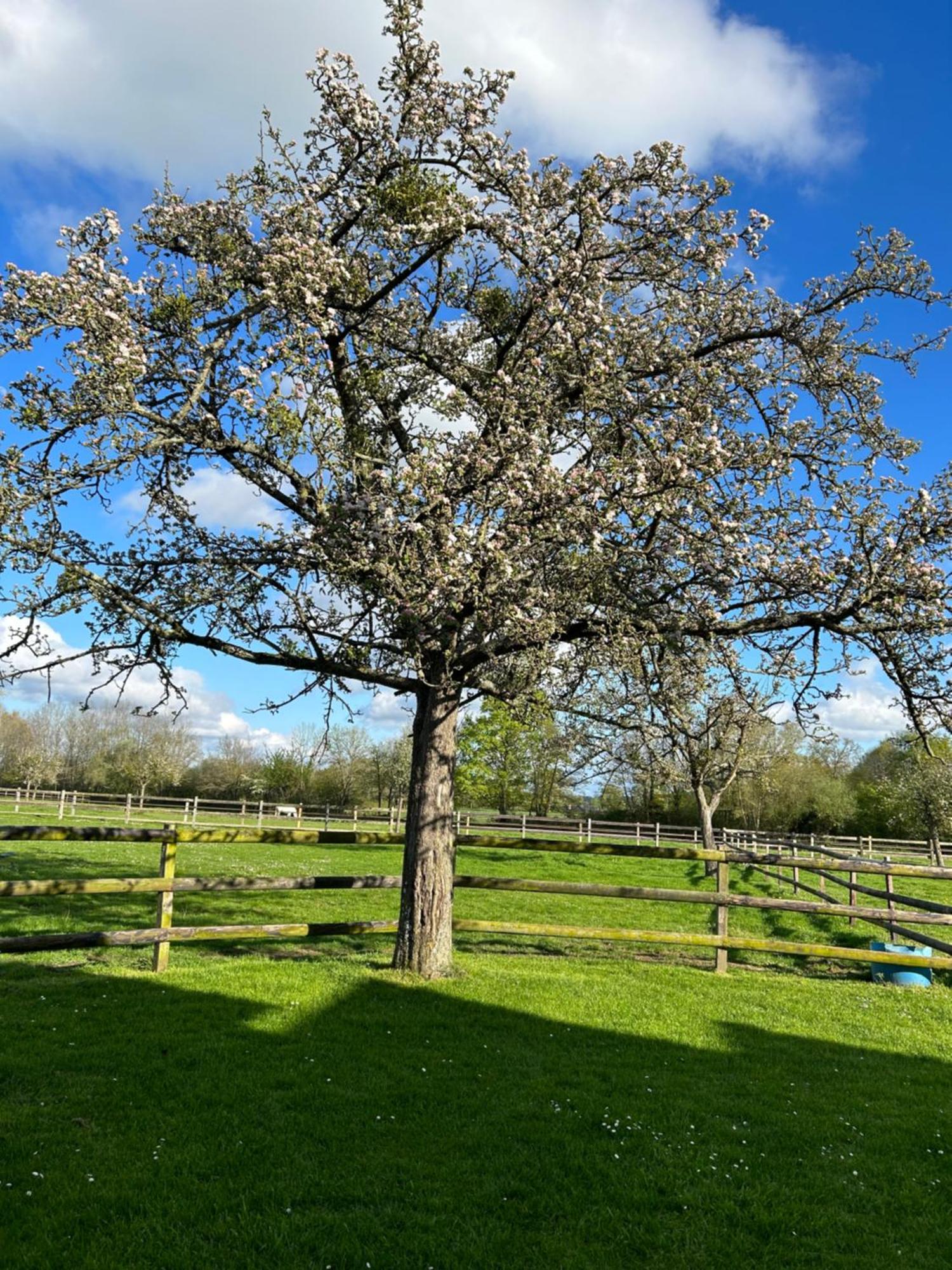 Ferienwohnung La Longere Du Haras Manerbe Exterior foto