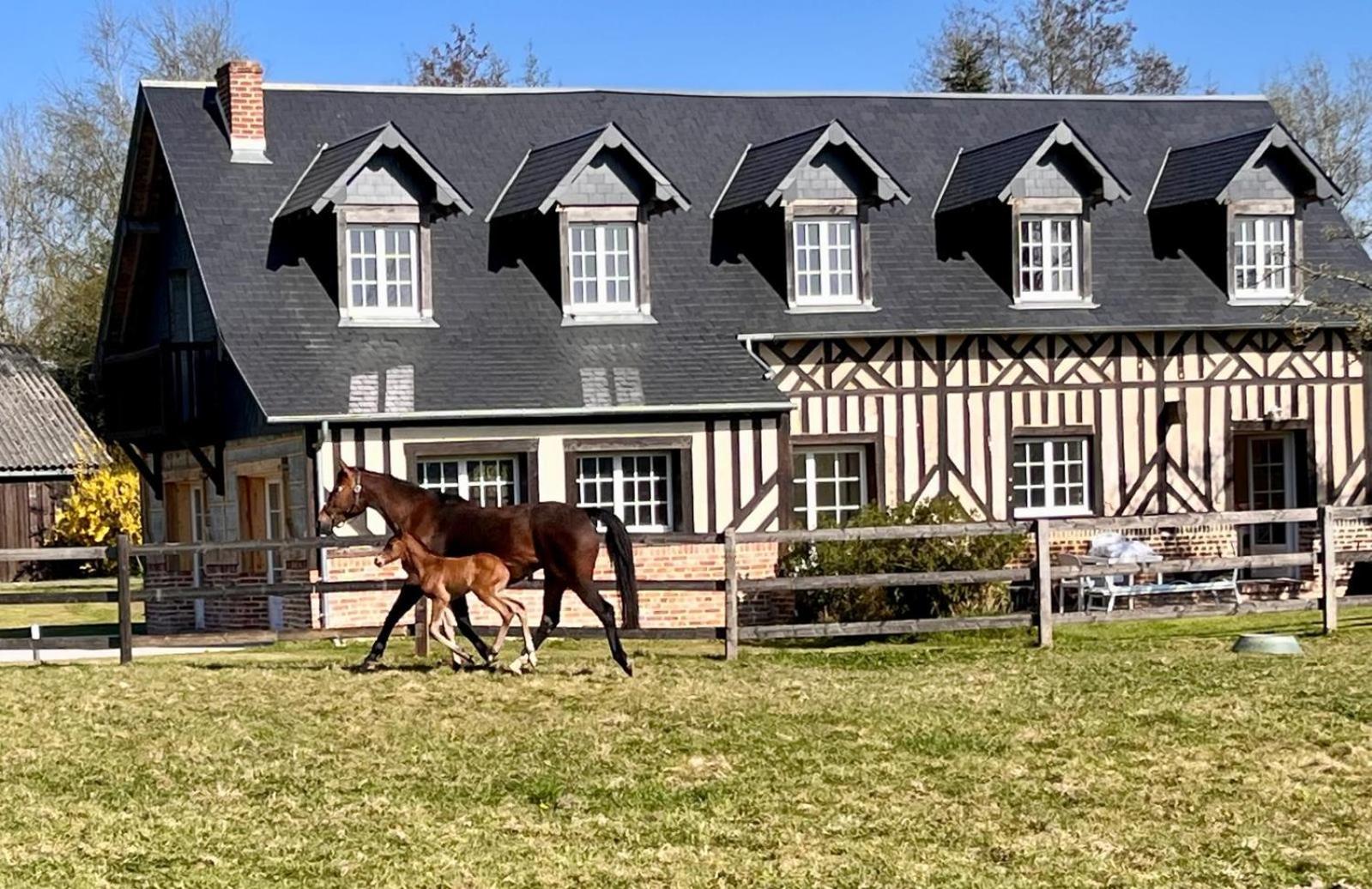Ferienwohnung La Longere Du Haras Manerbe Exterior foto